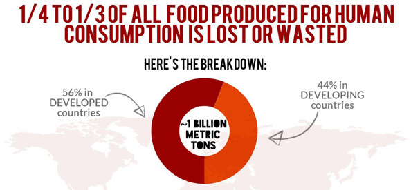 Food waste and food loss